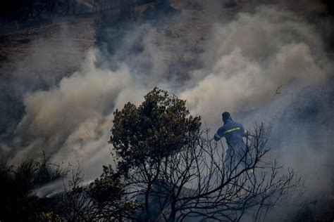 Ειδήσεις σχετικές με | palo.gr. Φωτιά τώρα: Στις φλόγες ο Ασπρόπυργος | Pagenews.gr