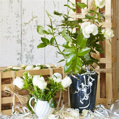 Crystal and silver barware, including champagne flutes & decanters. Silver Wedding Anniversary Gift By The Gluttonous Gardener ...