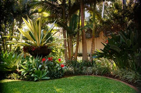 Pool Landscaping With Palms ~ Front Landscaping Ideas