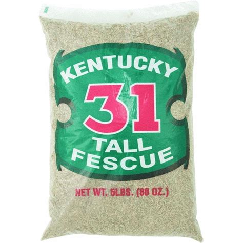 Barenbrug Kentucky 31 Tall Fescue Grass Seed 1000 Sq Ft Polybagged 5