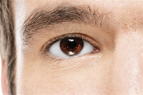 Brown Eyed Guys Seem More Trustworthy Study Suggests Live Science