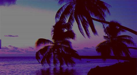 Aesthetic Chill Vibes Wallpapers Top Free Aesthetic Chill Vibes