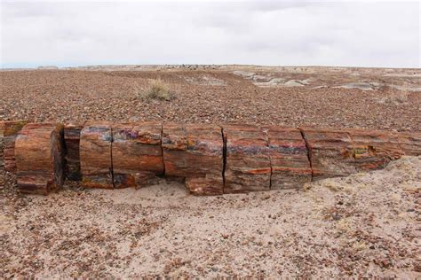 Petrified Forest National Park In One Day Getaway Compass