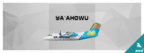Ya'ahowu Bombardier Q200 - SkySwimmer's Gallery of Confidently Eye-friendly Liveries - Gallery ...