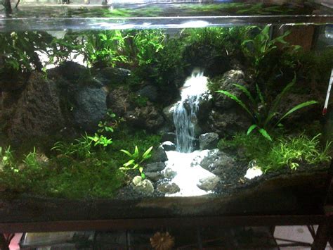 Check spelling or type a new query. Cara Membuat Air Terjun Aquascape - Caraku 212