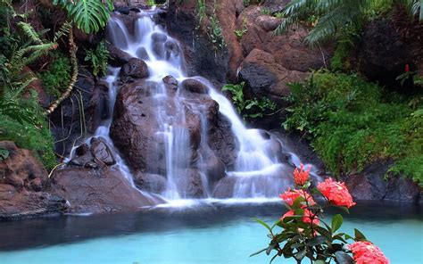 Waterfall Beach Island Tropical Hd Wallpaper Peakpx My Xxx Hot Girl