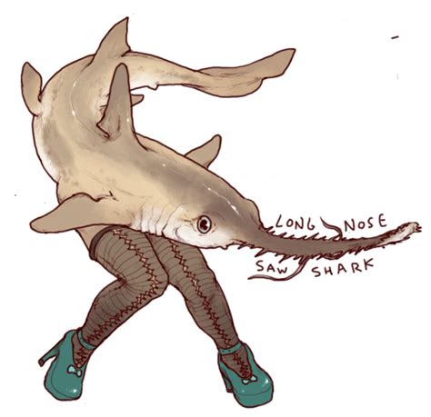 Go Wash Your Hands For Like Years Ive Imagined A Shark With Rly Nice