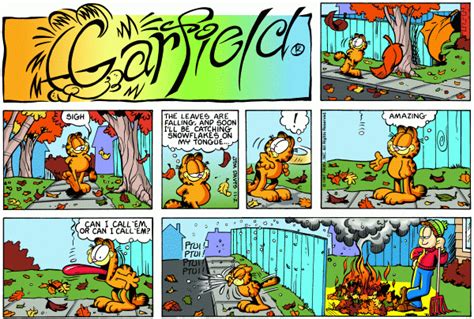 Confessions Of A Holiday Junkie Garfield In The Fall