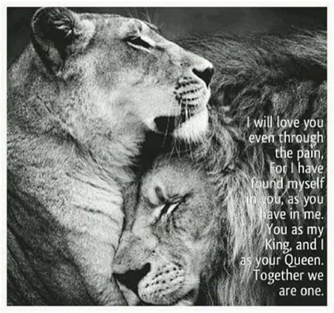 247 Motivational And Inspirational Quotes Lion Love Lion Quotes Female Lion