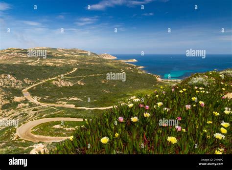 Plage Dalga Hi Res Stock Photography And Images Alamy