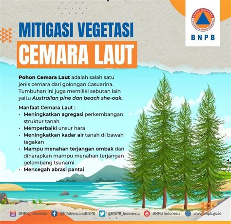 BPBD INFOGRAFIS MITIGASI VEGETASI AREA PESISIR