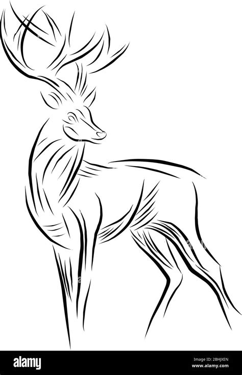 Deer Drawing Hi Res Stock Photography And Images Alamy