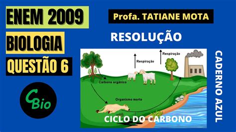 🔴 Enem 2009 Biologia QuestÃo 6 Ciclo Do Carbono O Ciclo