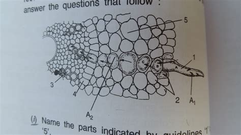 We did not find results for: Root Hair Cell Under Microscope - Micropedia