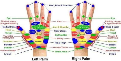 What Is Acupressure Treatment And How It Effects Your Body
