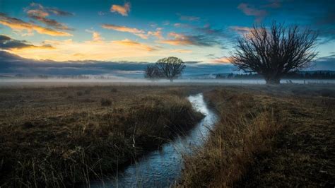 Nature Trees Field Fog Stream Dawn Wallpaper Nature And