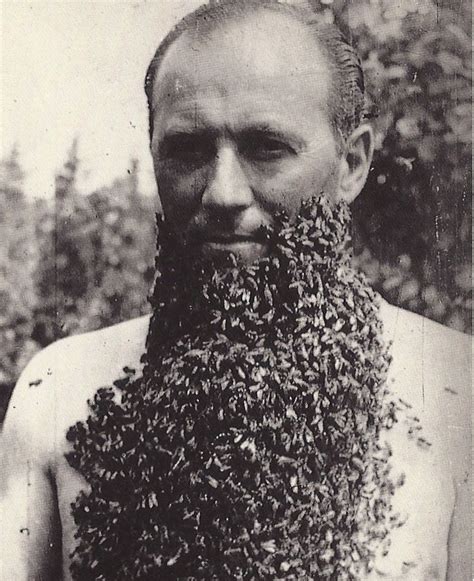 Honey Bee Beard Crochet Beard Crocheted Beard Pattern Crochet Beard Hat Free Pattern