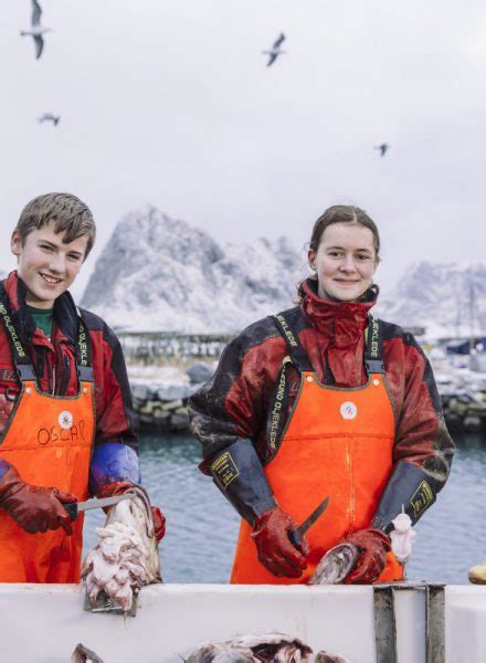 Lofoten Viking Quality Norwegian Seafood