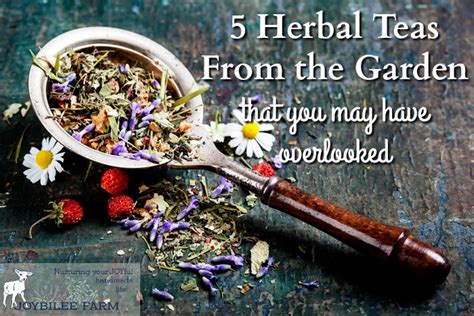 5 herbal teas from the garden that you may have overlooked joybilee® farm diy herbs