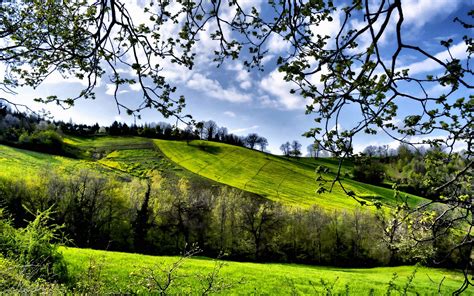 Spring Scenery Fields Trees Greenery Wallpaper Nature And