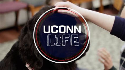 Uconn Life Dog Therapy Youtube