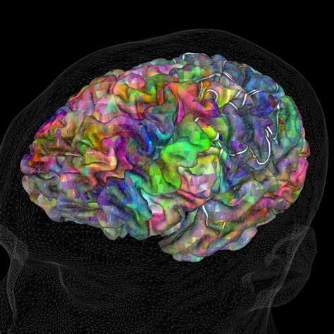 Interactive Brain Map Reveals Word Representation Across 60000 Regions