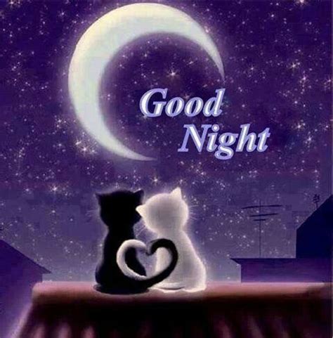 Maybe you would like to learn more about one of these? Good Night Pictures, Photos, and Images for Facebook ...