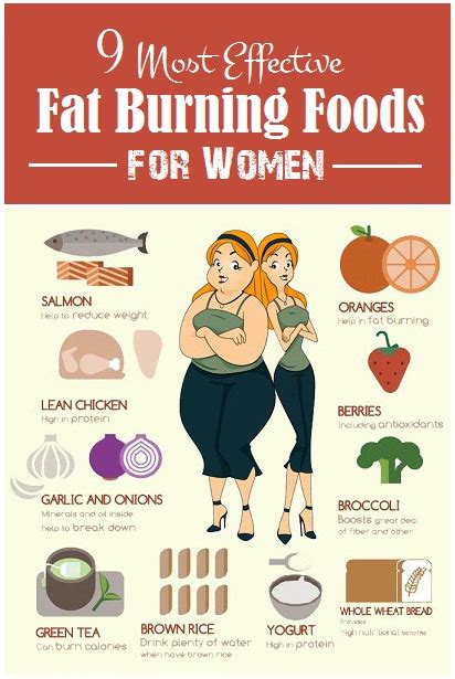 Some notable ones include avocados, artichokes, whole grains, kefir, green tea, eggs, and legumes. Diet To Lose Belly Fat Meal Plan - Diet Plan