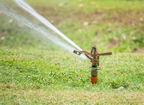 Check spelling or type a new query. Your Guide to Watering the Lawn
