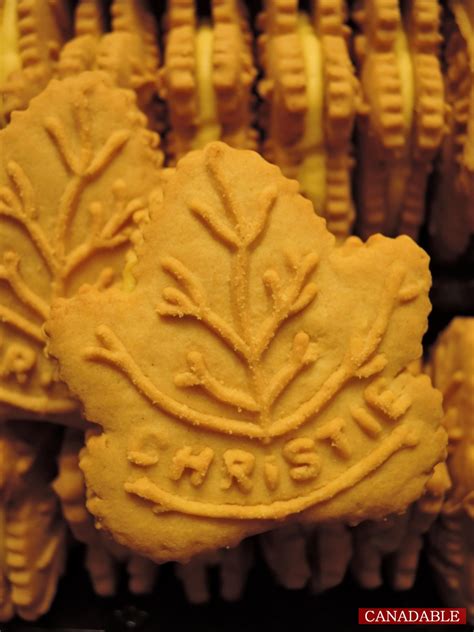 캐나다 메이플쿠키 크리스티 제품 메이플 과자 후기 Maple Leaf Cookies Christie Maple Flavour