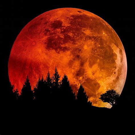 Dans la nuit de jeudi à vendredi, la lune se trouvera à 359 956. Ne manquez pas la plus belle pleine #Lune de l'année dans ...