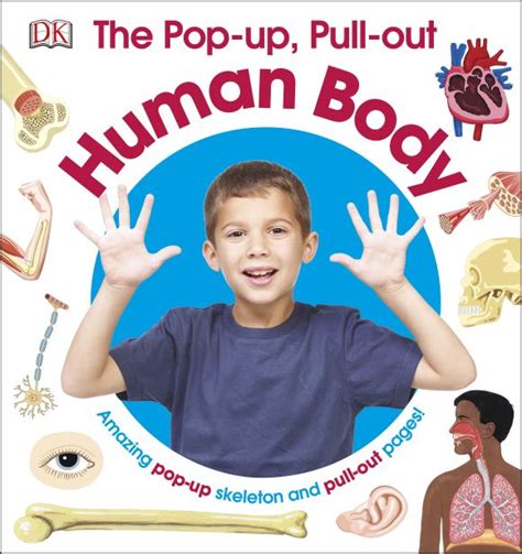 The Pop Up Pull Out Human Body Dk Uk