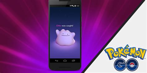 How To Catch And Fight With Ditto In Pokemon Go
