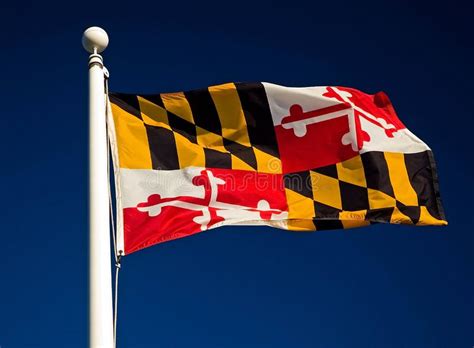 Maryland State Flag Colorful Flag Of The State Of Maryland Flying