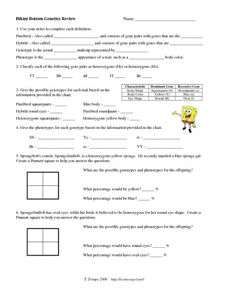For each genotype below, indicate whether it is a heterozygous (he) or homozygous (ho). Genotypes And Phenotypes Worksheet Answers - Worksheet List