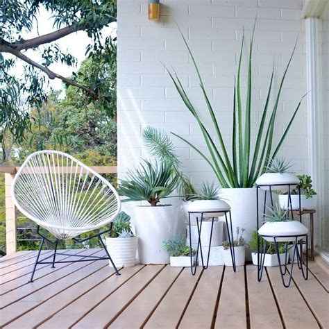 9 Calm And Relaxing Mid Century Modern Garden Plants Ideas