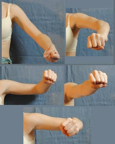 Arms Front 5 By Piratelotus Stock On Deviantart Hand Drawing Reference