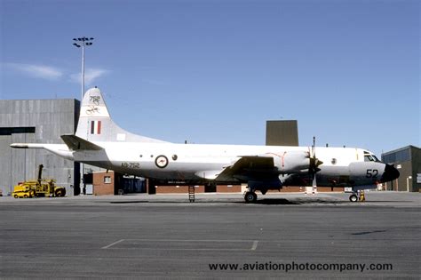 The Aviation Photo Company Australia Raaf 10 Squadron Lockheed P 3c