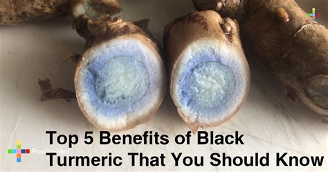 24Top 5 Benefits Of Black Turmeric That You Should Know PositiveMed