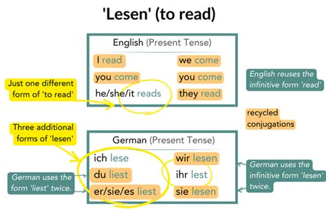 German Lesen Conjugation How Its Used Examples And More