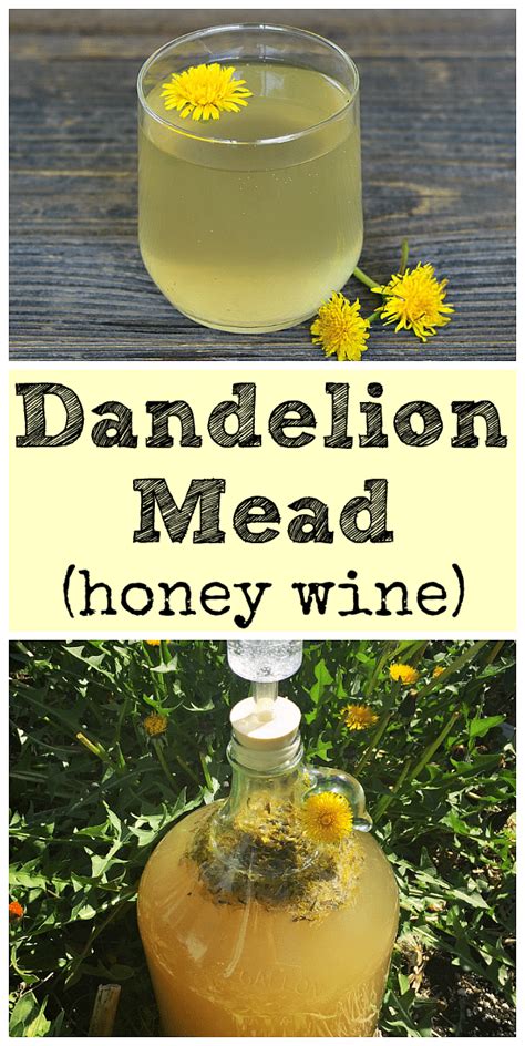 Homemade Wine Recipes Mead Wine Dandelion Wine Dandelion Jelly Mead Recipe Honey Wine