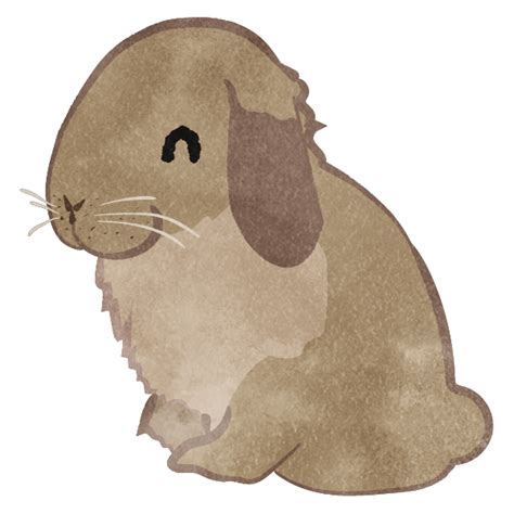 Smiling Holland Lop Rabbits Cute2u A Free Cute Illustration For