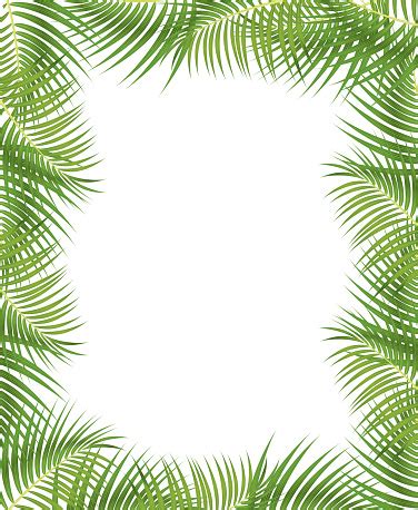 Favorite add to vine dividers clipart kit. Palm Leaves Border Stock Illustration - Download Image Now - iStock