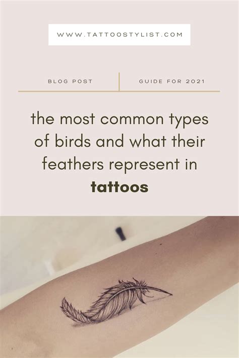 Weve Got An Extensive Guide On Feather Tattoos For You Check It Out