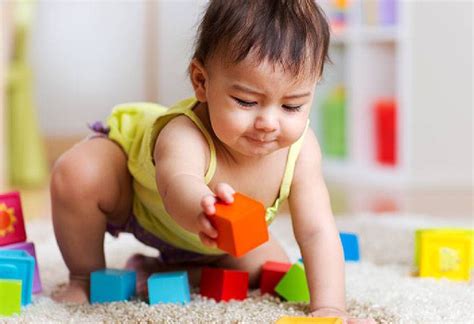 Everything You Need To Know About Block Toys Survive In Online World