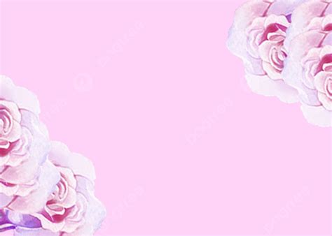 Background Latar Belakang Bunga Bersih Pink Bersih Bersih Bunga Bunga