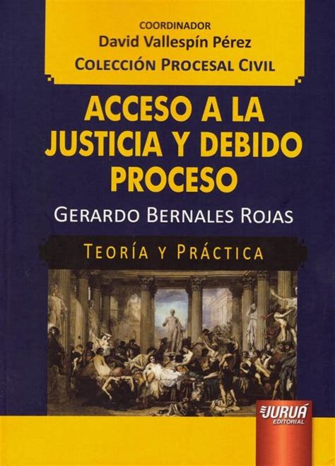 Libro Acceso A La Justicia Y Debido Proceso Bernales Rojas Gerardo