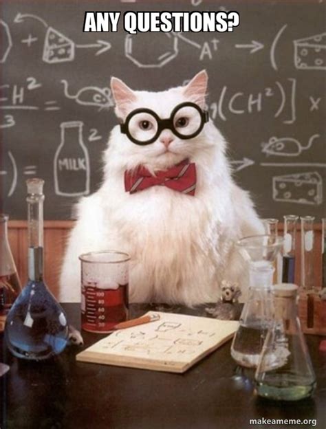 Any Questions Chemistry Cat Meme Generator
