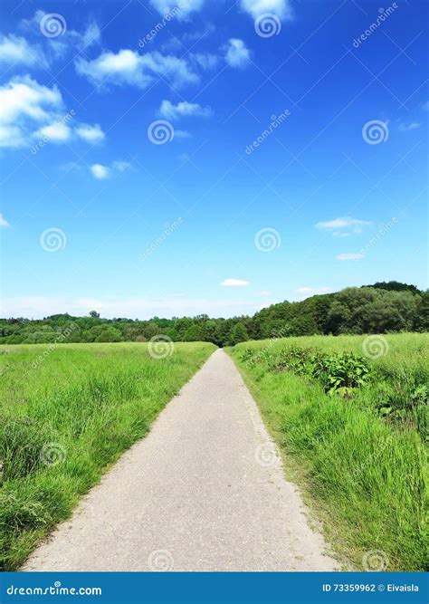 Idyllic Footpath Through Fields Stock Photo Image Of Paddock Cloud