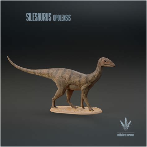3d Printable Silesaurus Opolensis The Ancient Dinosaur By Miniature